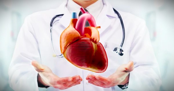 Cardiology best cardiologist in kharghar