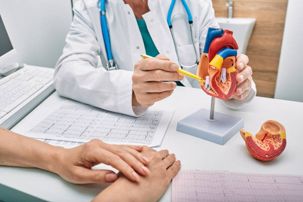 best cardiologist in seawoods best cardiologist in seawoods